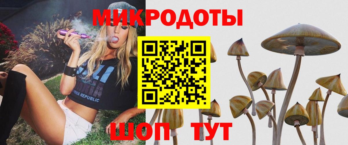 Россия  закладки  Вход с VPN  Галлюциногенные грибы Psilocybine cubensis 